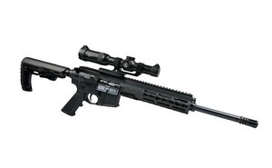 ProArms PAR Mk3 14.5'' Kal. 223 Rem mit Vortex Strike Eagle 1-6x24